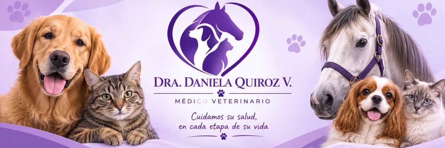 Danimedvet — Veterinaria y mascotas en Independencia