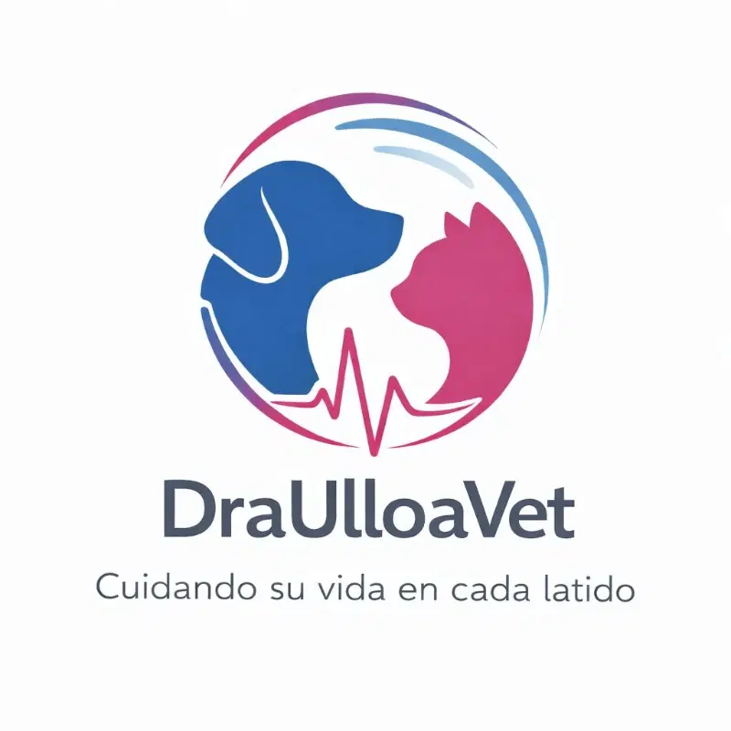 Logo de draulloavet