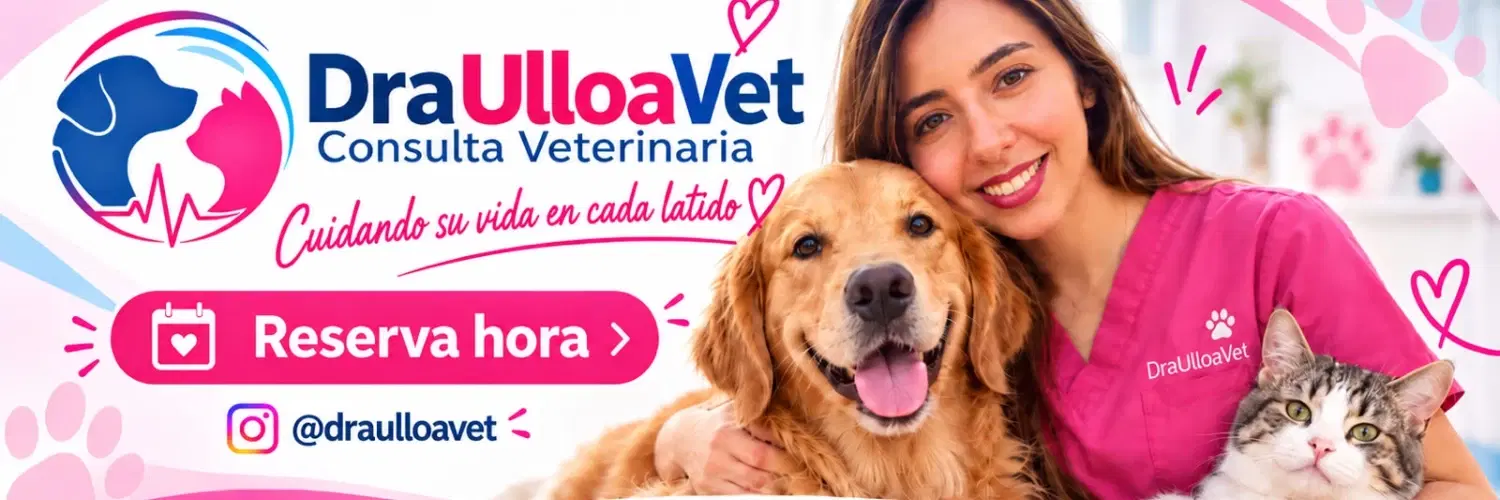 draulloavet — Veterinaria y mascotas en Osorno